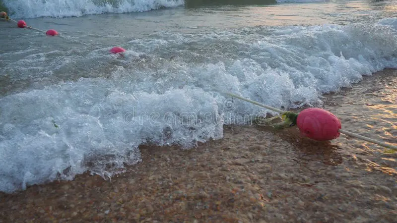 red buoys tied to some rope in a beach, near the limits of the water
