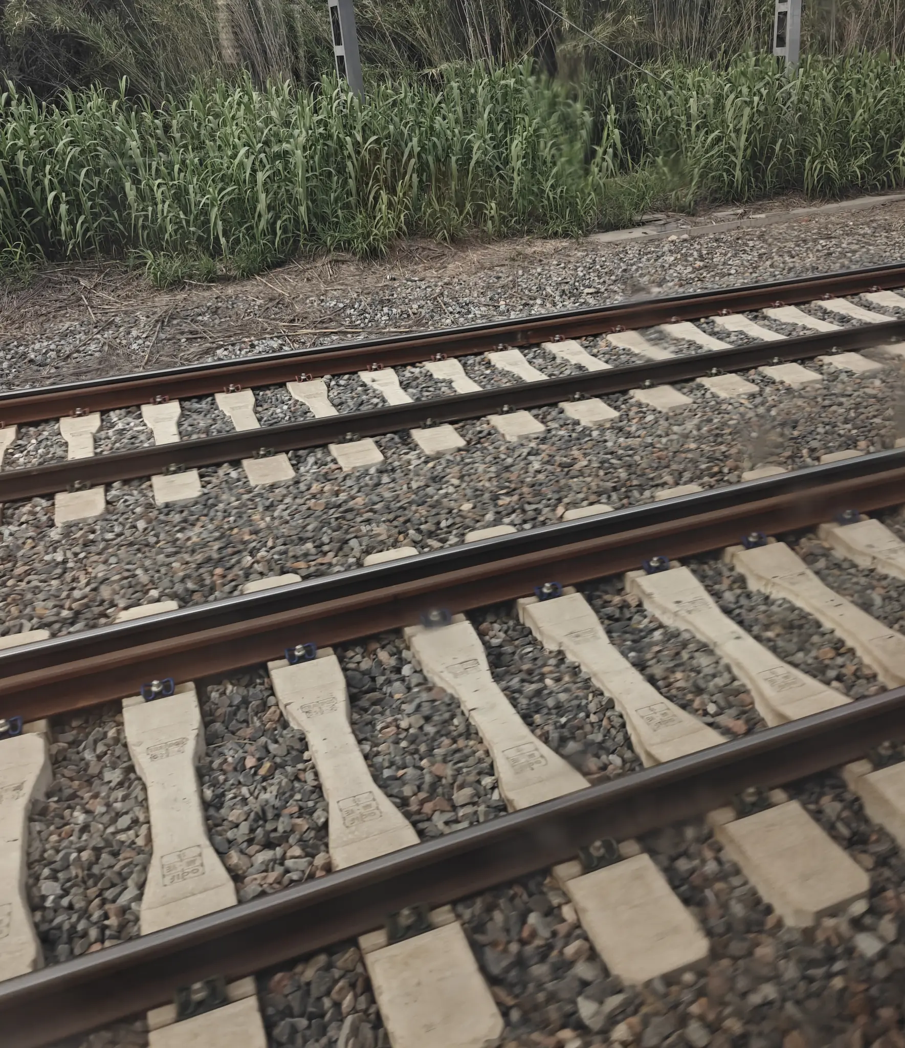 ADIF track with three rails, forming two gauges: 1435mm and 1668mm